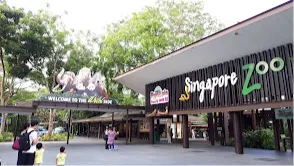  Singapore Zoo